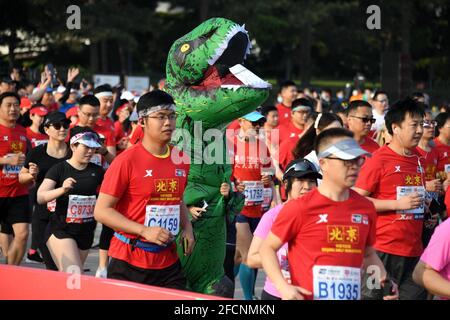 Beijing, China. 24th Apr, 2021. Participants run from the starting line during the 2021 Beijing Half Marathon in Beijing, capital of China, April 24, 2021. Credit: Ren Chao/Xinhua/Alamy Live News Stock Photo