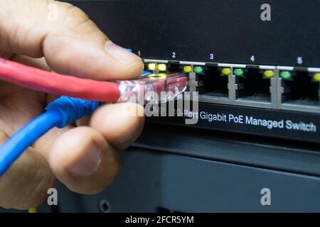 Technician connect cable network to switch port in server room , Concept internet network management Stock Photo