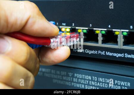 Technician connect cable network to switch port in server room , Concept internet network management Stock Photo