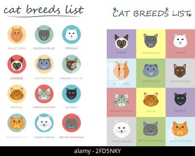 Group of Cute Cat Breeds List Cartoon Animal Illustration To ...