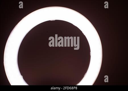 Large LED ring light in a studio room against empty walls front view. Stock Photo