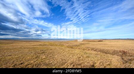 The endless expanse of the Pannonian lowlands in sunny weather. Stock Photo