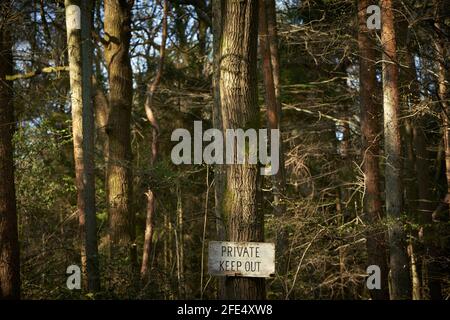 Private Keep out sign on the edge of Woodland in Sussex, UK Stock Photo