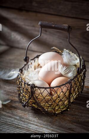 Fresh free range eggs in the basket. Free-range eggs. Stock Photo
