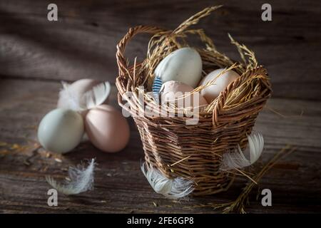 Eggs from free range. Fresh and ecological eggs from the henhouse Stock Photo
