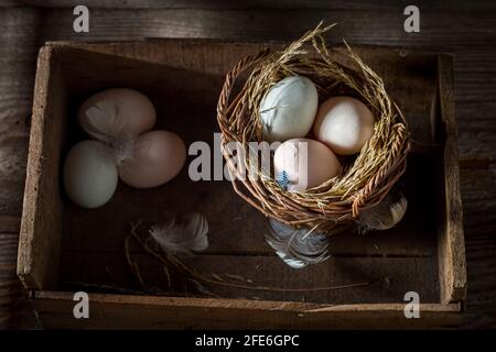 Good and ecological eggs in the basket. Eggs from free range. Stock Photo