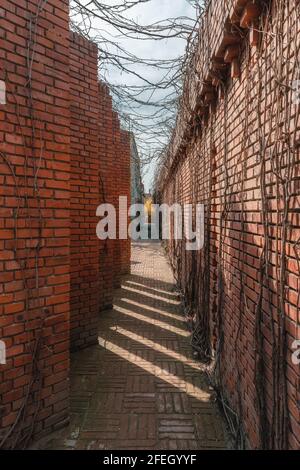 Traditional red brick wall background Stock Photo