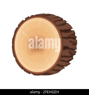 Tree stump, cross section of tree, textured, detailed isolated on white background in flat cartoon style. Cut round trunk with rings. Vector illustrat Stock Vector