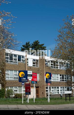 estate agents signs outside a purpose built modern block of  flats in teddington, middlesex, england Stock Photo