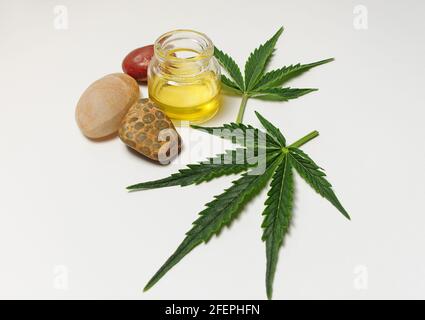 Marijuana leaves, cbd oil, sea stones, spa recreation. Fresh cannabis leaves close up, isolated on white background. Home relaxation, pastime therapy. Stock Photo