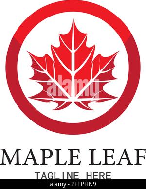 Maple leaf vector illustration design template Stock Vector