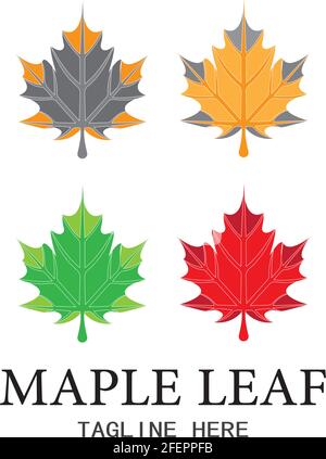 Maple leaf vector illustration design template Stock Vector