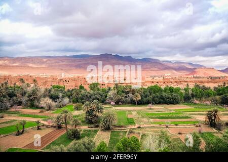 Landscape view of Tinghir city in the oasis, with cultivation field and Atlas mountain. Morocco. Stock Photo