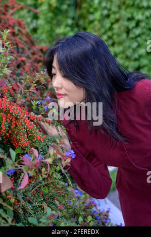 Beautiful chinese woman with long black hair on a sunny autumn day in the city. Stock Photo