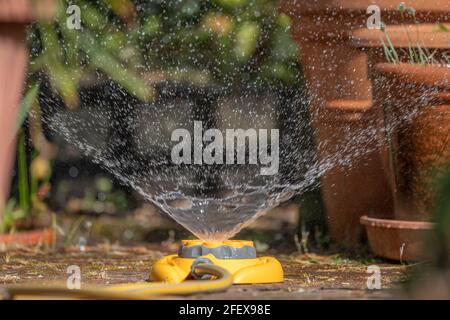 London, UK. 24 April 2021. With very little rain recently in south east England, outdoor pot plants are drying out and require watering. No rain is forecast locally for the whole of the coming week. Credit: Malcolm Park/Alamy Live News. Stock Photo