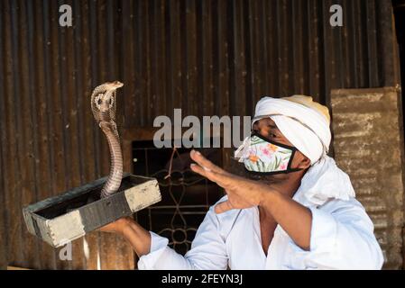 Dhaka, Bangladesh. 24th Apr, 2021. A gypsy man doing their traditional performance with a Cobra snack during the outbreak of coronavirus disease (COVID-19) at Savar the outskirts of Capital Dhaka, Bangladesh. The river gypsies in Bangladesh locally known as ''˜Bede' community. Credit: Fatima-Tuj Johora/ZUMA Wire/Alamy Live News Stock Photo