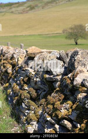 Close up details of old dry stone wall boundary covered with moss and lichen in Cotswold landscape Stock Photo