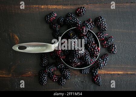Measuring Cup filled with Fresh Blackberries: A metal measuring cup filled with fresh berries on a wooden table Stock Photo