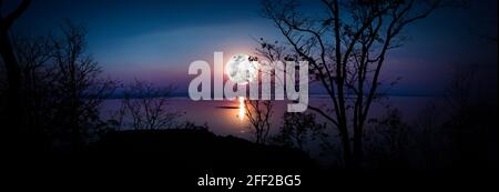 Panorama. Tree against sky over tranquil lake. Silhouettes of woods and beautiful moonrise, bright full moon would make a nice picture. Beauty of natu Stock Photo