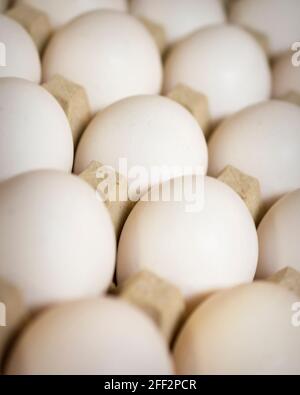 Eggs in a paper carton waiting to be used.  Angled repetitive shot. Stock Photo