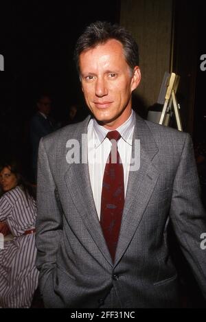 James Woods Circa 1980's Credit: Ralph Dominguez/MediaPunch Stock Photo