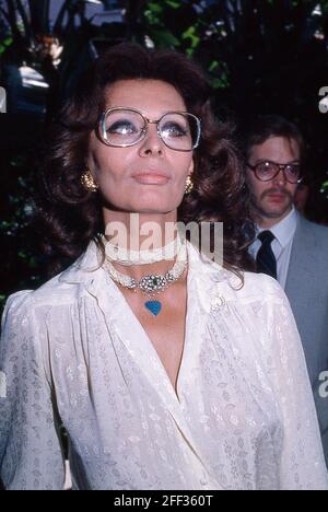 Sophia Loren Circa 1980's Credit: Ralph Dominguez/MediaPunch Stock ...