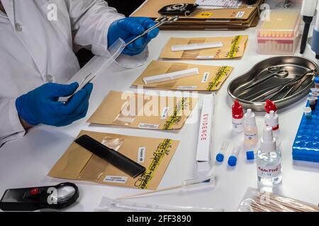 Specialized police take comb hair to take DNA from murder victim, conceptual image Stock Photo
