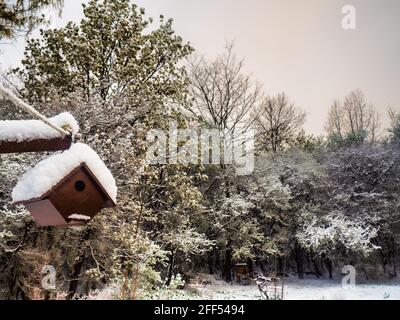 Wren house after an overnight snowfall Stock Photo