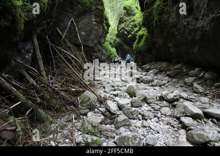 Tourist in Cracow Gorge near Koscieliska Valley in Tatra Mountains, Poland Stock Photo