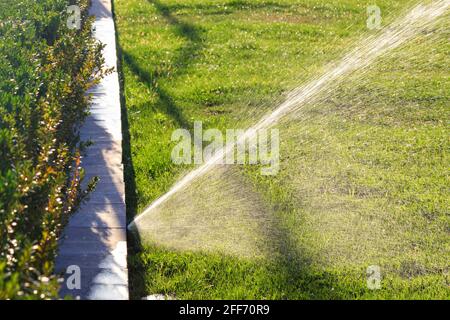 An automatic sprinkler system sprays a green lawn on a bright sunny day in a fenced area. Stock Photo