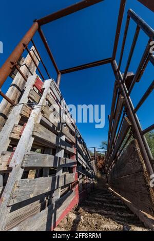 Corral and cattle loading chute at Empire Ranch and Las Cienegas National Conservation Area in Arizona, USA Stock Photo