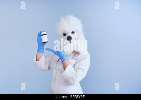 Young woman in a latex dog head mask and white coat holding a pill bottle on a blue background. Doctor medical veterinary concepts. Stock Photo