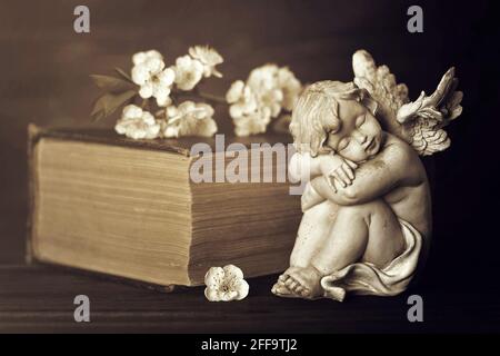 Guardian angel, spring flowers and book on dark background Stock Photo