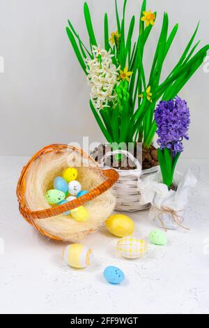 Wicker basket with quail eggs on a background of yellow daffodils and blue hyacinths on a white table. Easter holiday concept. Stock Photo