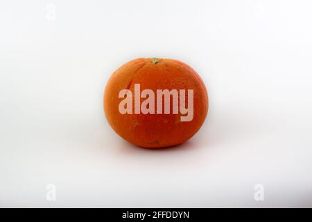 One orange isolated on white background Stock Photo