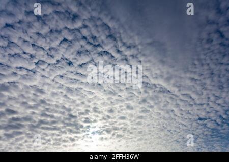Cotton snow and cotton clouds in the sky. Cotton ball as a wool