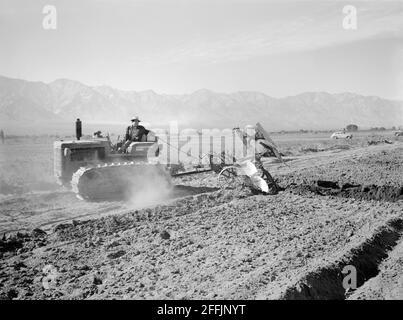 Benji Iguchi driving Tractor, Manzanar Relocation Center, California, USA, Ansel Adams, Manzanar War Relocation Center Collection, 1943 Stock Photo