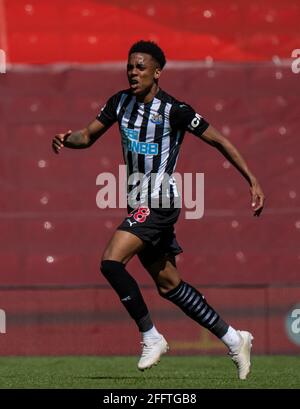 Liverpool. 25th Apr, 2021. Newcastle United's Joe Willock celebrates after scoring an equalising goal during the Premier League match between Liverpool and Newcastle United at Anfield in Liverpool, Britain, on April 24, 2021. Credit: Xinhua/Alamy Live News Stock Photo