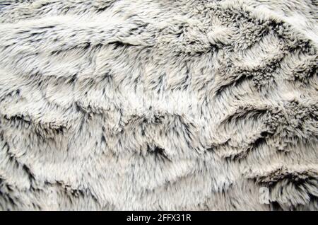 White & Black Abstract Fur Pattern Surface Stock Photo