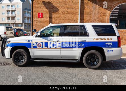 Ocean City, MD, USA 04-18-2021: A Ford Explorer Police vehicle belonging to Ocean City Police department is idling near the board walk. This is a K-9 Stock Photo