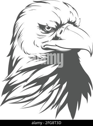 Bald Eagle Falcon Hawk Head Silhouette Black Illustration Drawing Stock Vector