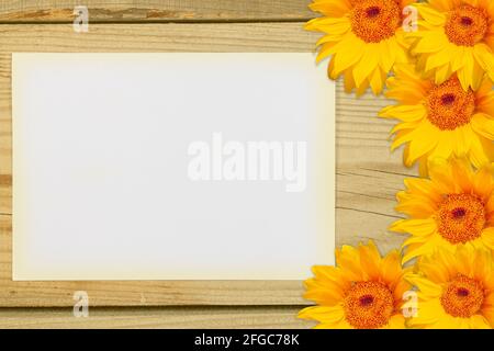 A template with a white background for text surrounded by yellow flowers. All on a wooden background. Stock Photo