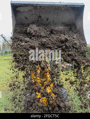 Rough earthworks using a wheel loader Stock Photo
