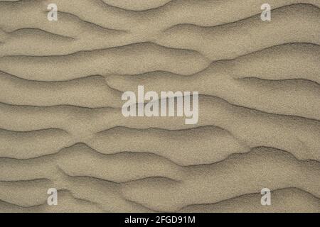 beach abstract: Sand patterns created by the wind Stock Photo