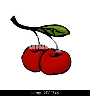 Hand drawn cherry illustration isolated on white background. Stock Vector