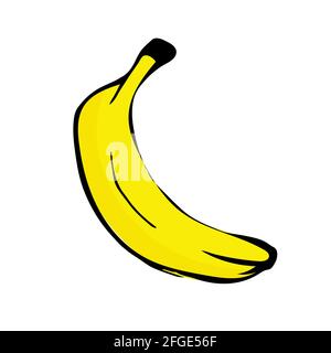 Hand drawn banana illustration isolated on white background. Stock Vector