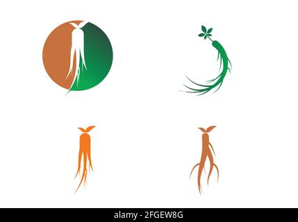 Ginseng design vector icon illustration template Stock Vector