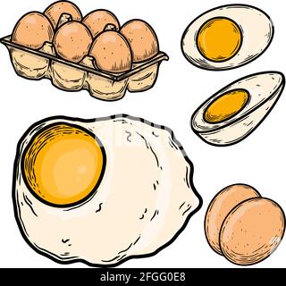 Set of Illustrations of chicken eggs in engraving style. Design element for poster, card, banner, sign. Vector illustration Stock Vector