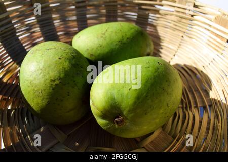 Fresh raw green Mangoes in basket from India Asian. Asian raw unripe green organic mango in wicker basket. plucked fresh Stock Photo