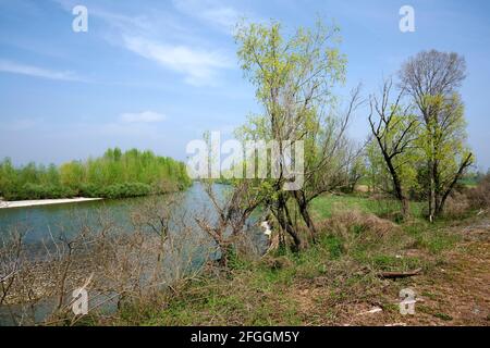 Orzinuovi (Bs),Italy, a view of the river Oglio Stock Photo